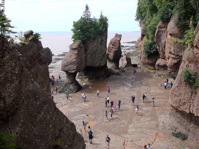 Залив Фанди в период отлива