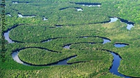 Река Амазонка Река Амазонка