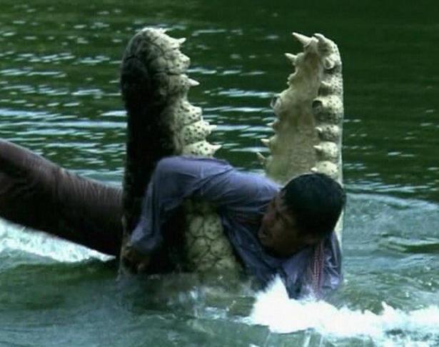 Суперхищники: нильский крокодил - видео National Geographic