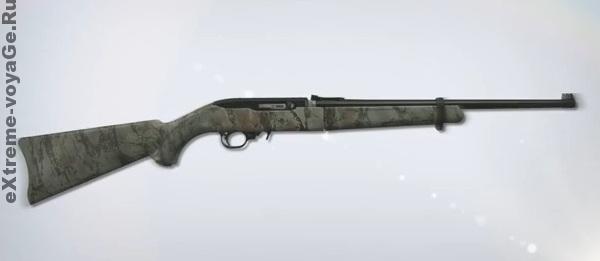 Davidson Ruger 10-22 Takedown Davidson Ruger 10-22 Takedown