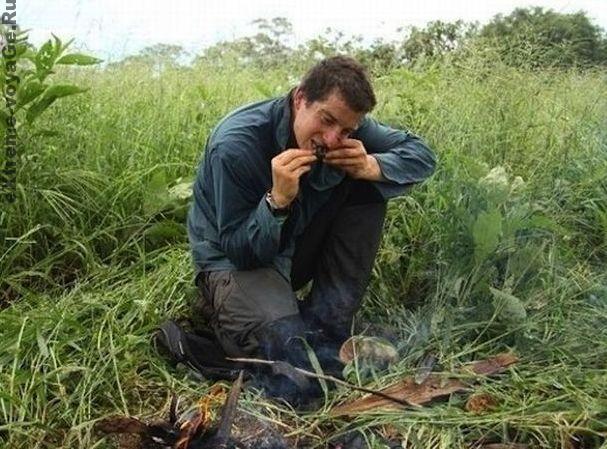 Если вдруг заблудился: продукты питания Если вдруг заблудился: продукты питания