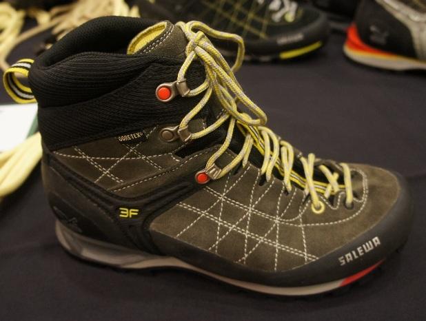 Mountain Trainer Mid GTX