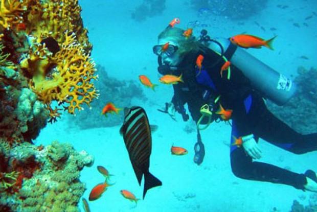 Горящие туры в Египет Горящие туры в Египет