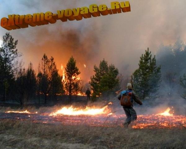 Лесной пожар вблизи Лесной пожар вблизи