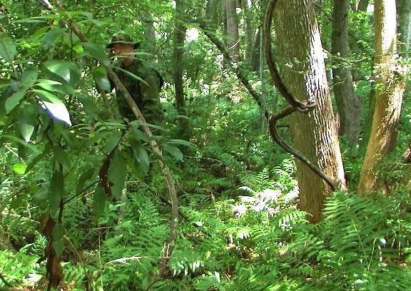 Одежда для тропических джунглей MultiCam Tropic TRU-SPEC Uniform Одежда для тропических джунглей MultiCam Tropic TRU-SPEC Uniform
