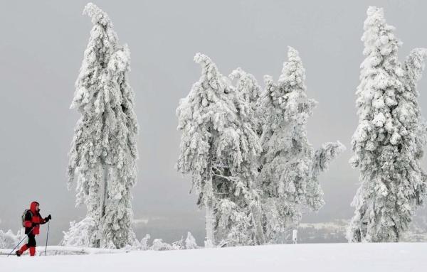 Одинокий лыжник Одинокий лыжник