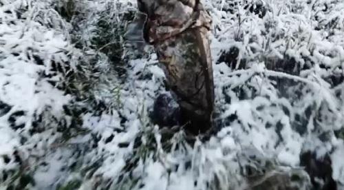 Охотничьи сапоги Instinct Accelerator в зимний период Охотничьи сапоги Instinct Accelerator в зимний период