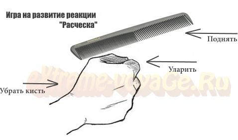Как улучшать реакцию в домашних условиях Как улучшать реакцию в домашних условиях