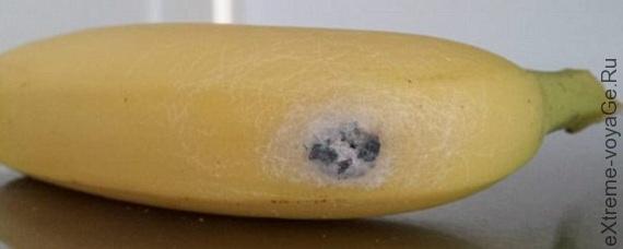 Банан с коконом из магазина Банан с коконом из магазина