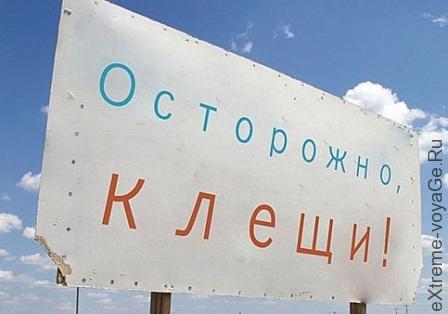 Как уберечься от укуса клещей 2 Как уберечься от укуса клещей 2