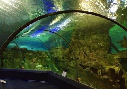 Sochi Discovery World Aquarium Sochi Discovery World Aquarium