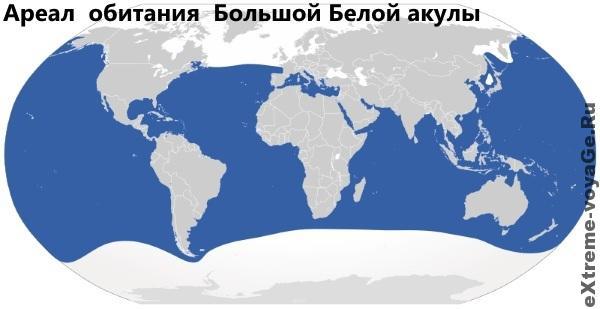 Ареал обитания Белой акулы Ареал обитания Белой акулы