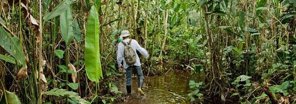 Survival extreme-voyage.ru Survival extreme-voyage.ru