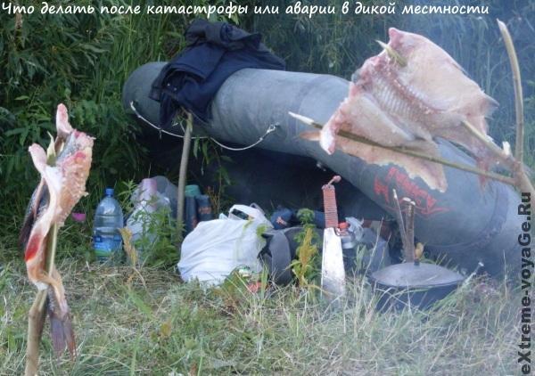 survival survival