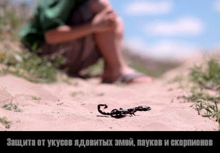 Защита от укусов ядовитых змей, пауков и скорпионов Защита от укусов ядовитых змей, пауков и скорпионов