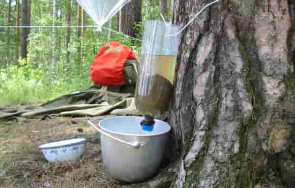 4 osnovny%D1%83 sposoba ochistki vody v polevyx usloviyax min Как очистить воду в полевых условиях