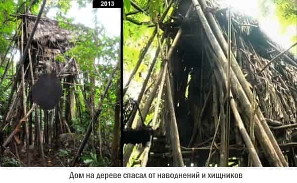 Ho-Van-Lang: дом на дереве Ho-Van-Lang: дом на дереве