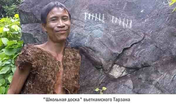 Ho-Van-Lang учится считать в джунглях Ho-Van-Lang учится считать в джунглях