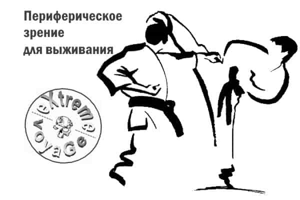 Периферическое зрение для выживания в бою и ЧС Периферическое зрение для выживания в бою и ЧС