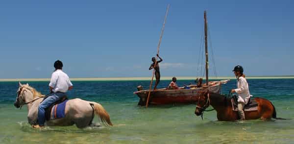 Mozambique Horse Safari, или Мозамбикское конное сафари Mozambique Horse Safari, или Мозамбикское конное сафари