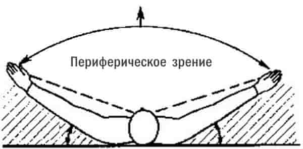 Периферическое зрение для выживания в бою и ЧС Периферическое зрение для выживания в бою и ЧС