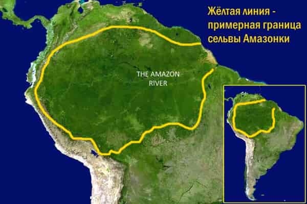 Угроза: сельва в бассейне Амазонки на грани уничтожения