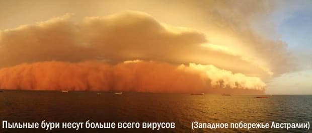 Вирусные дожди постоянно атакуют нашу планету из стратосферы Вирусные дожди постоянно атакуют нашу планету из стратосферы