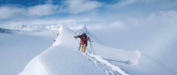 Surface Integrated Avalanche System